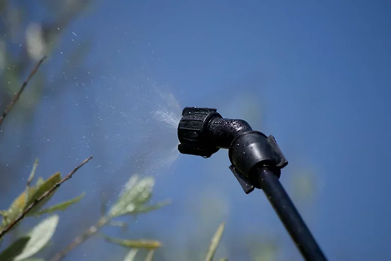 Como preparar insecticida casero para el huerto y el jardín Como preparar insecticida casero para el huerto y el jardín