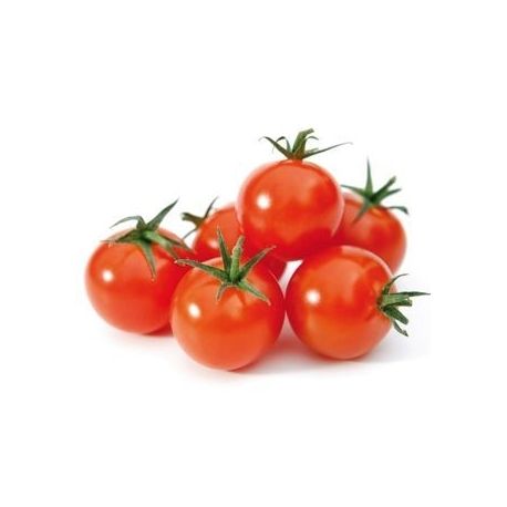 Guía del cultivo del tomate