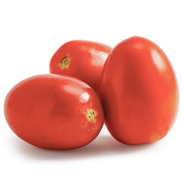 Guía del cultivo del tomate