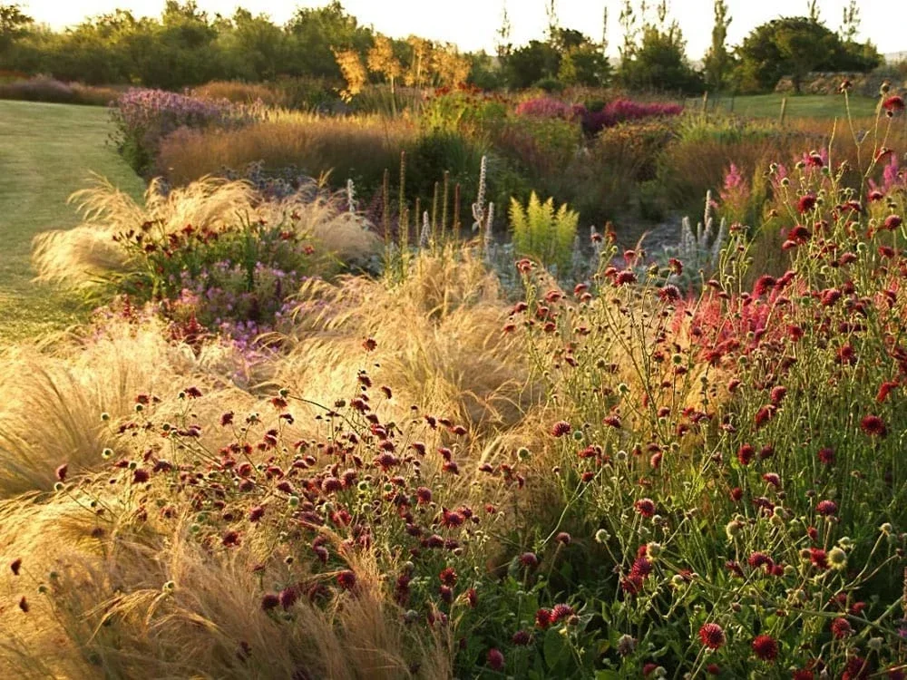 Piet Oudolf (El diseñador de jardines naturales y ecológicos) Piet outdolf