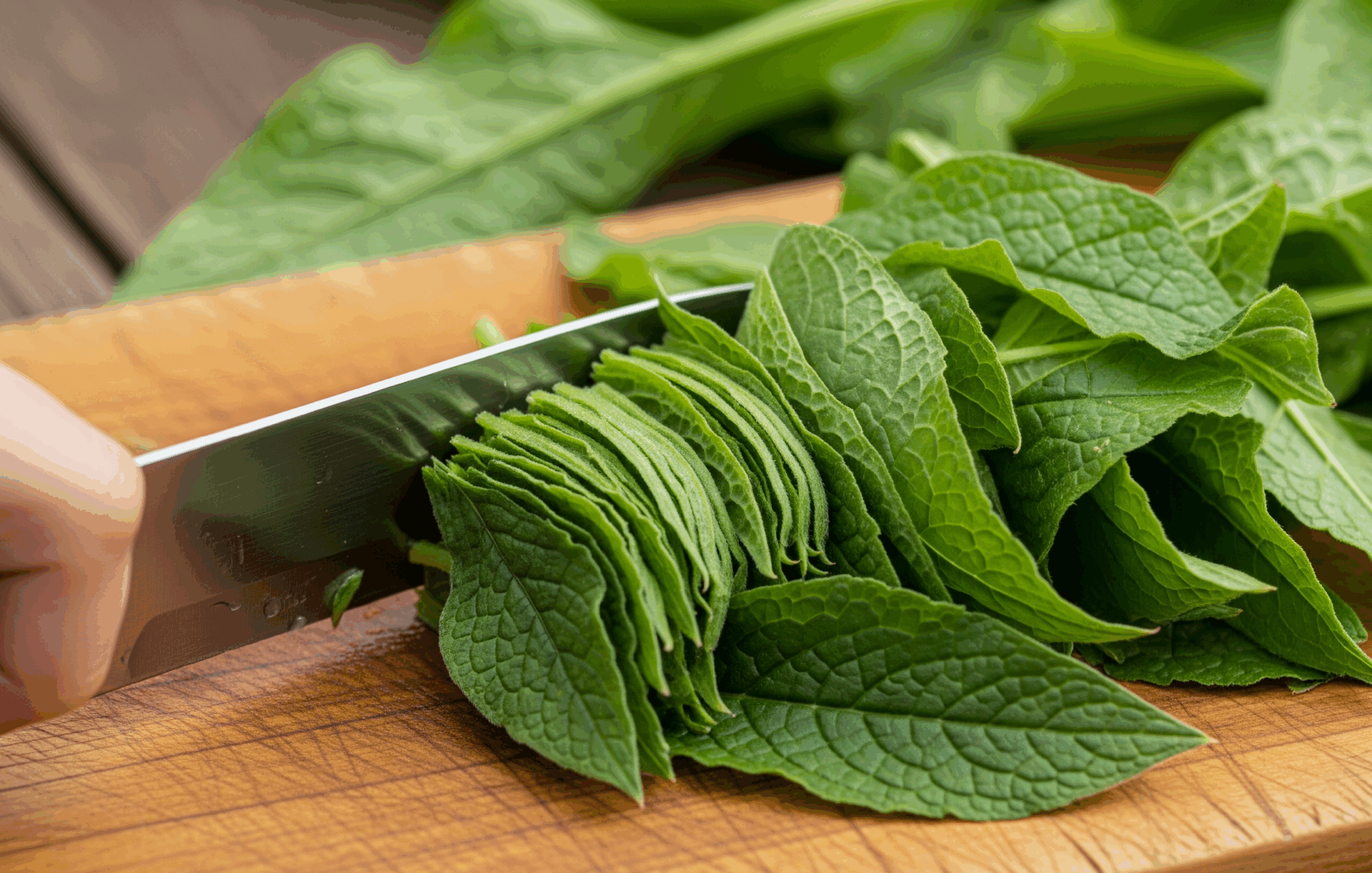 FPJ jugo de plantas metodo jadam